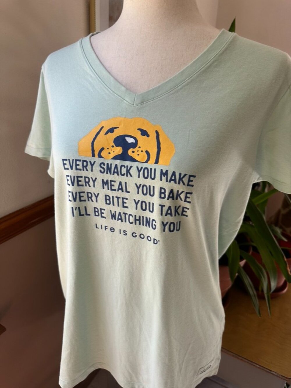 Life Is Good V Neck Tee, Mint with Yellow Dog Design, Like New, M